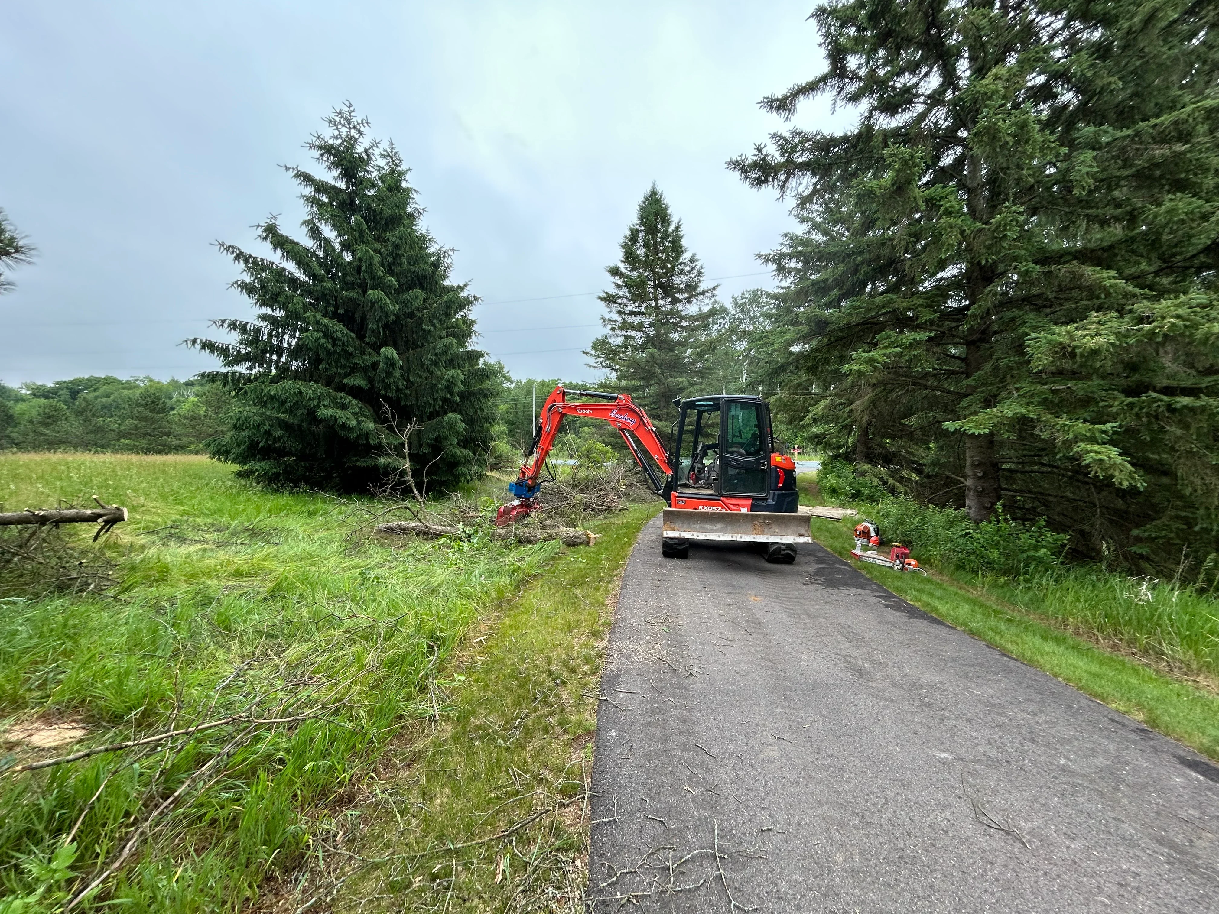 Red compact excavator clearing driveway debris among evergreen trees